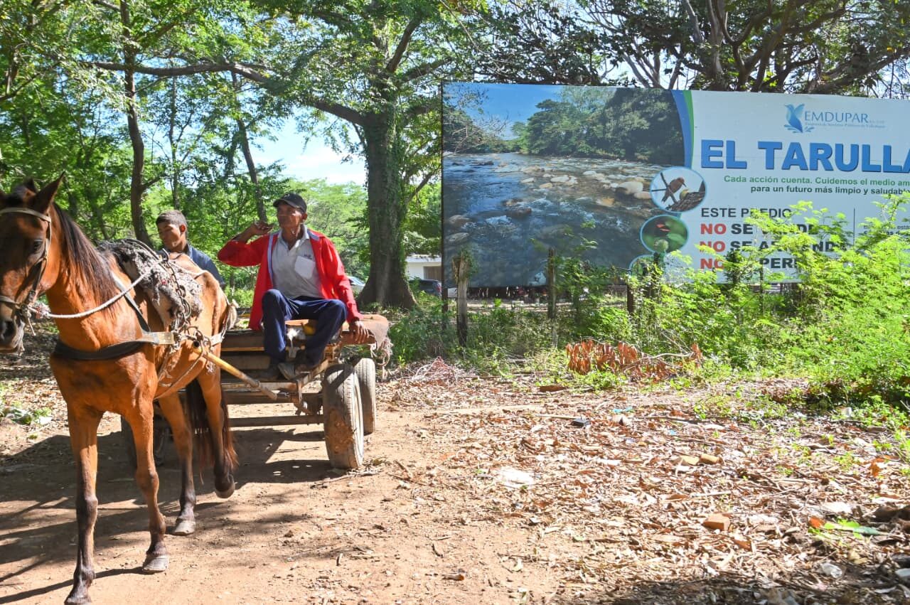 sustitución de vehículos de tracción animal en Valledupar